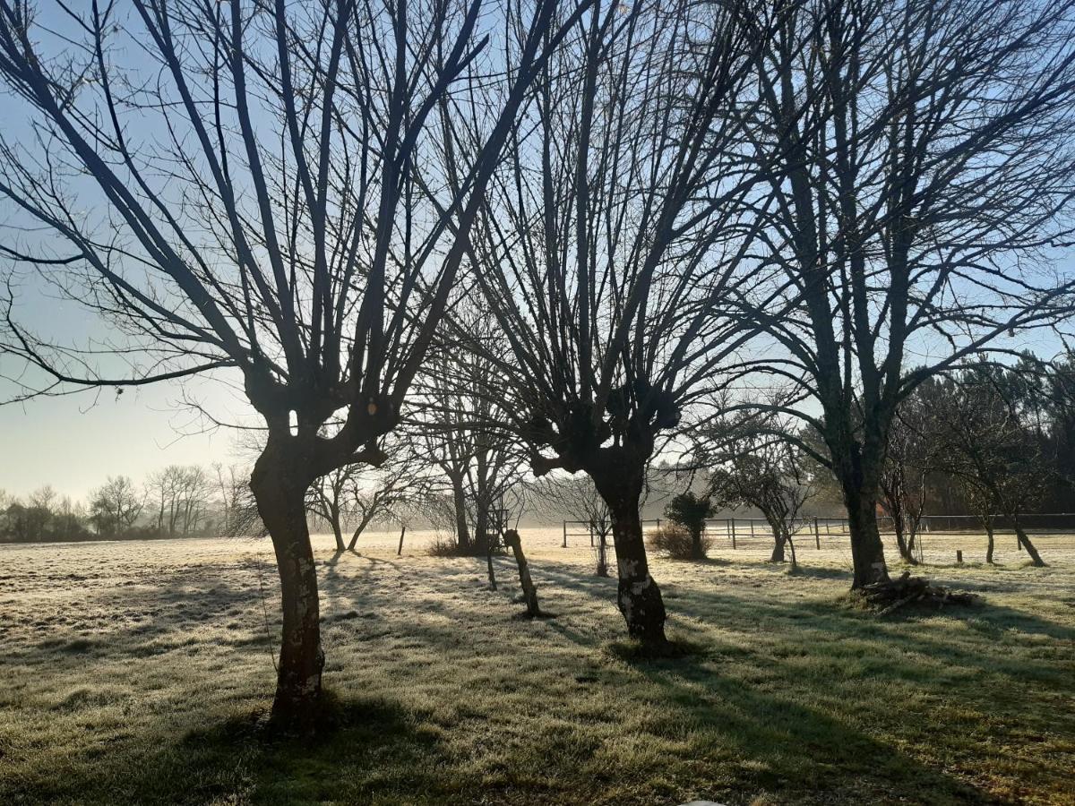 Domaine De L'Escuderia Hotell Parentis-en-Born Exteriör bild